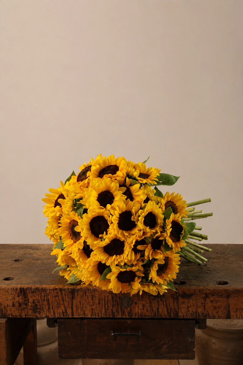 Girasoli — Giallo