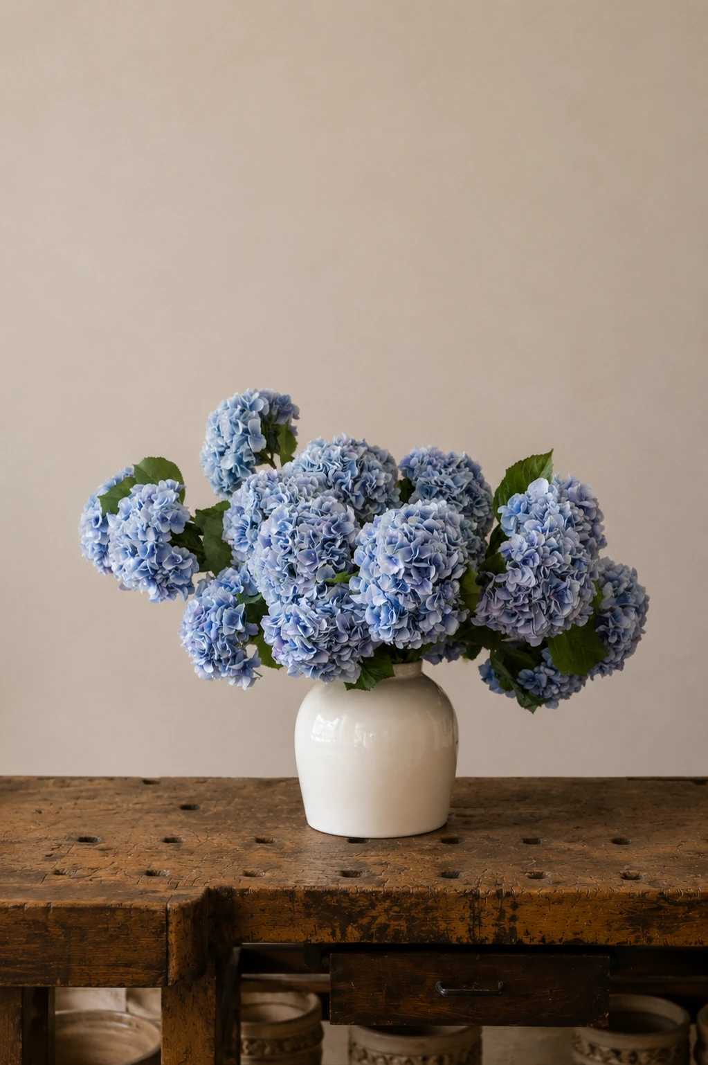 Hydrangeas