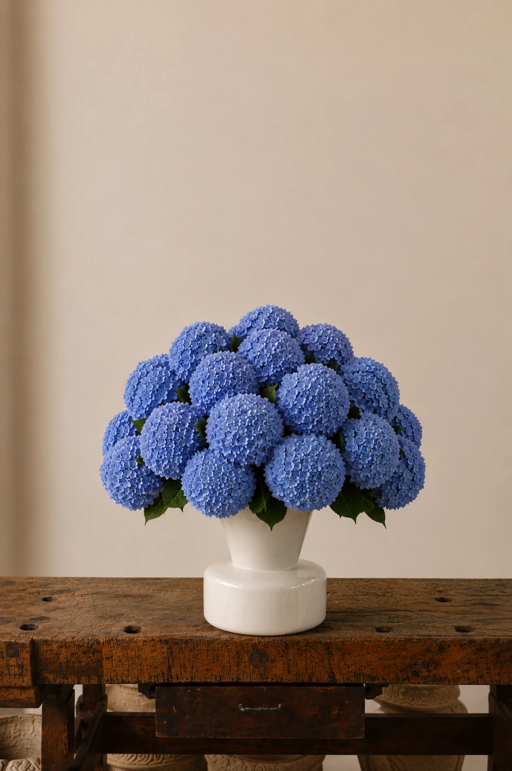 Ortensie