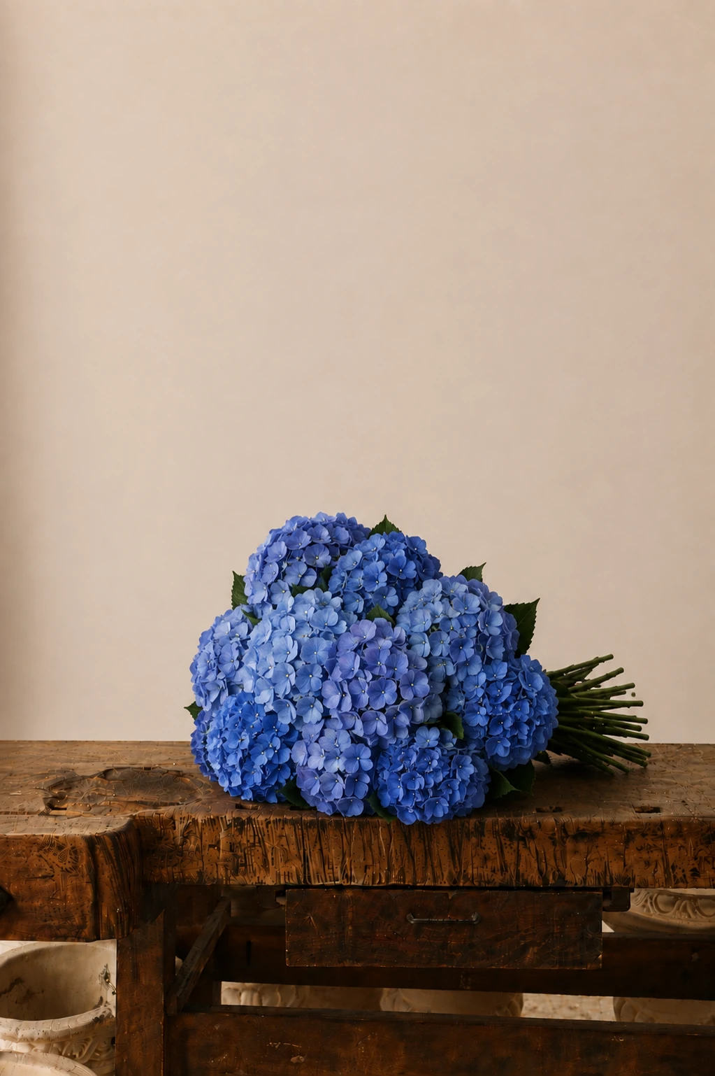 Ortensie — Azzurro