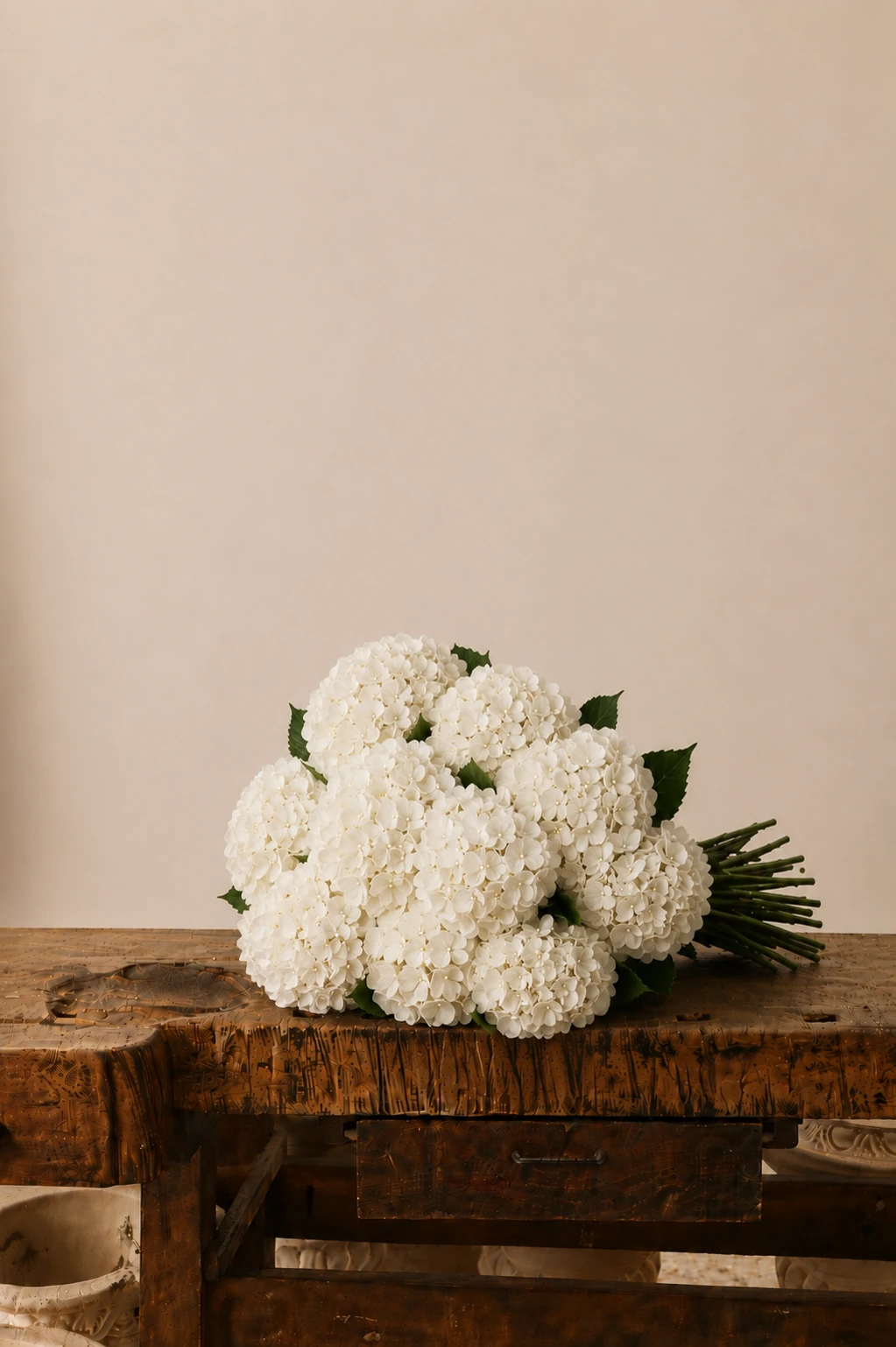 Ortensie — Bianco
