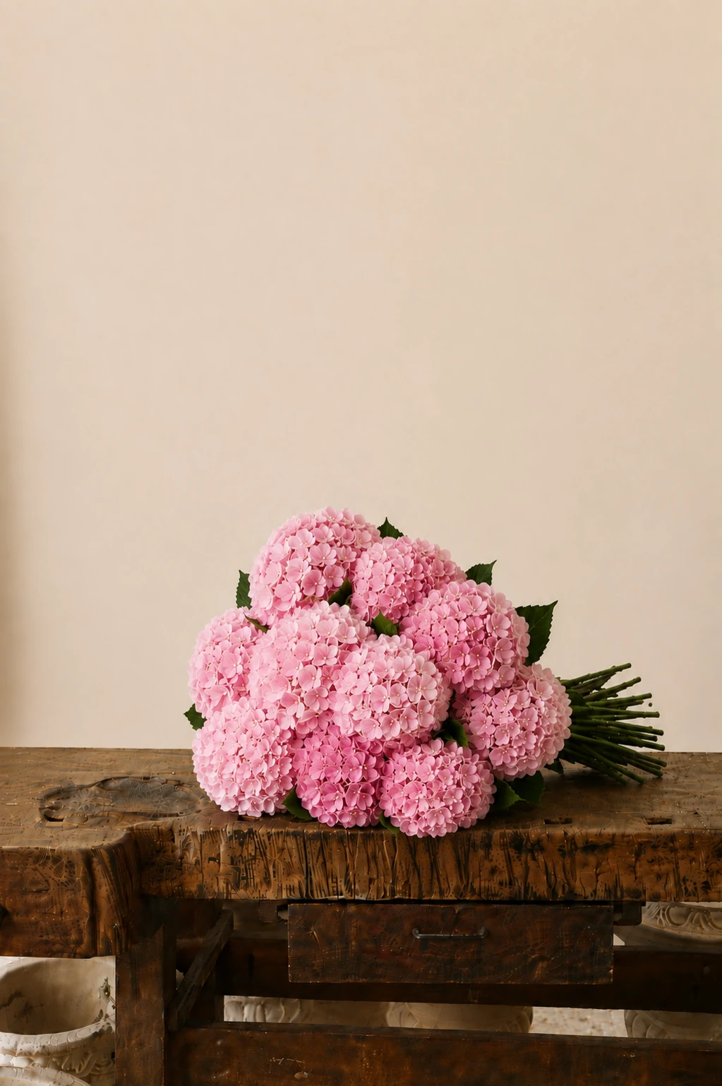 Hydrangeas — Pink
