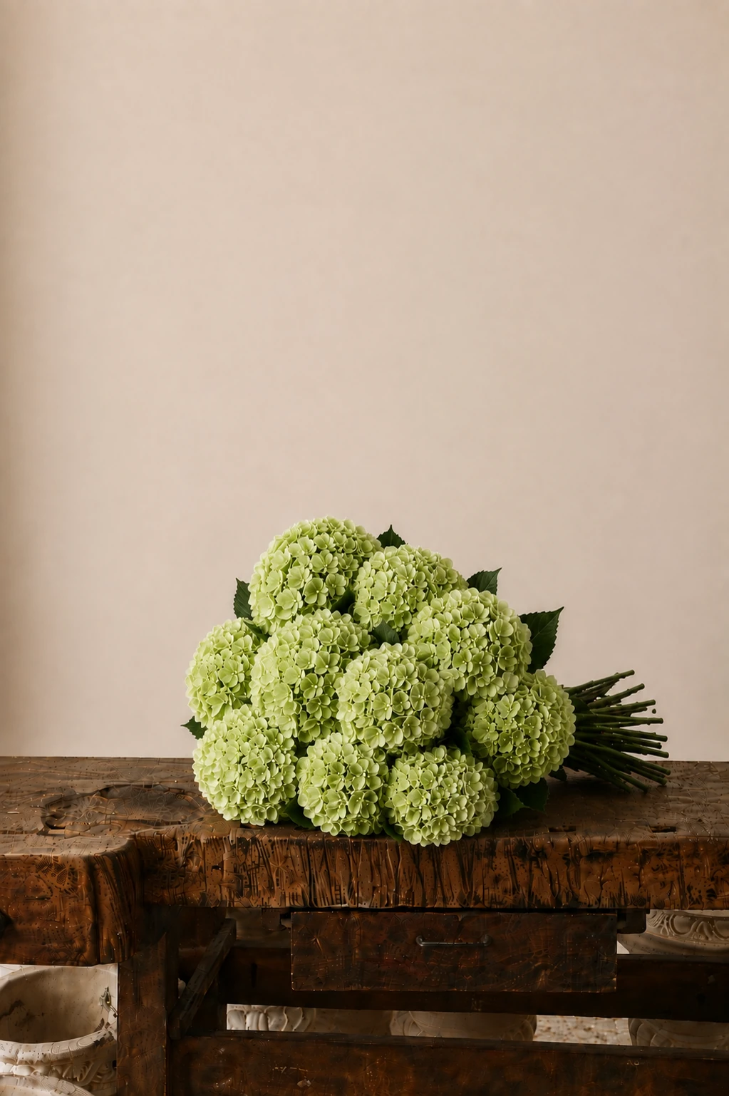 Hydrangeas — Green