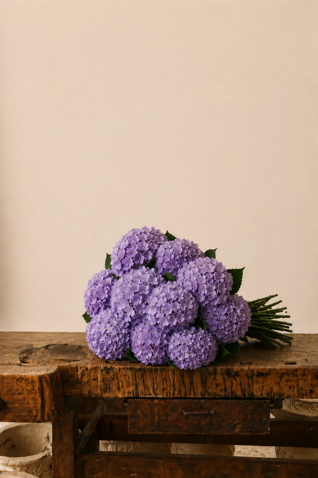 Ortensie — Viola
