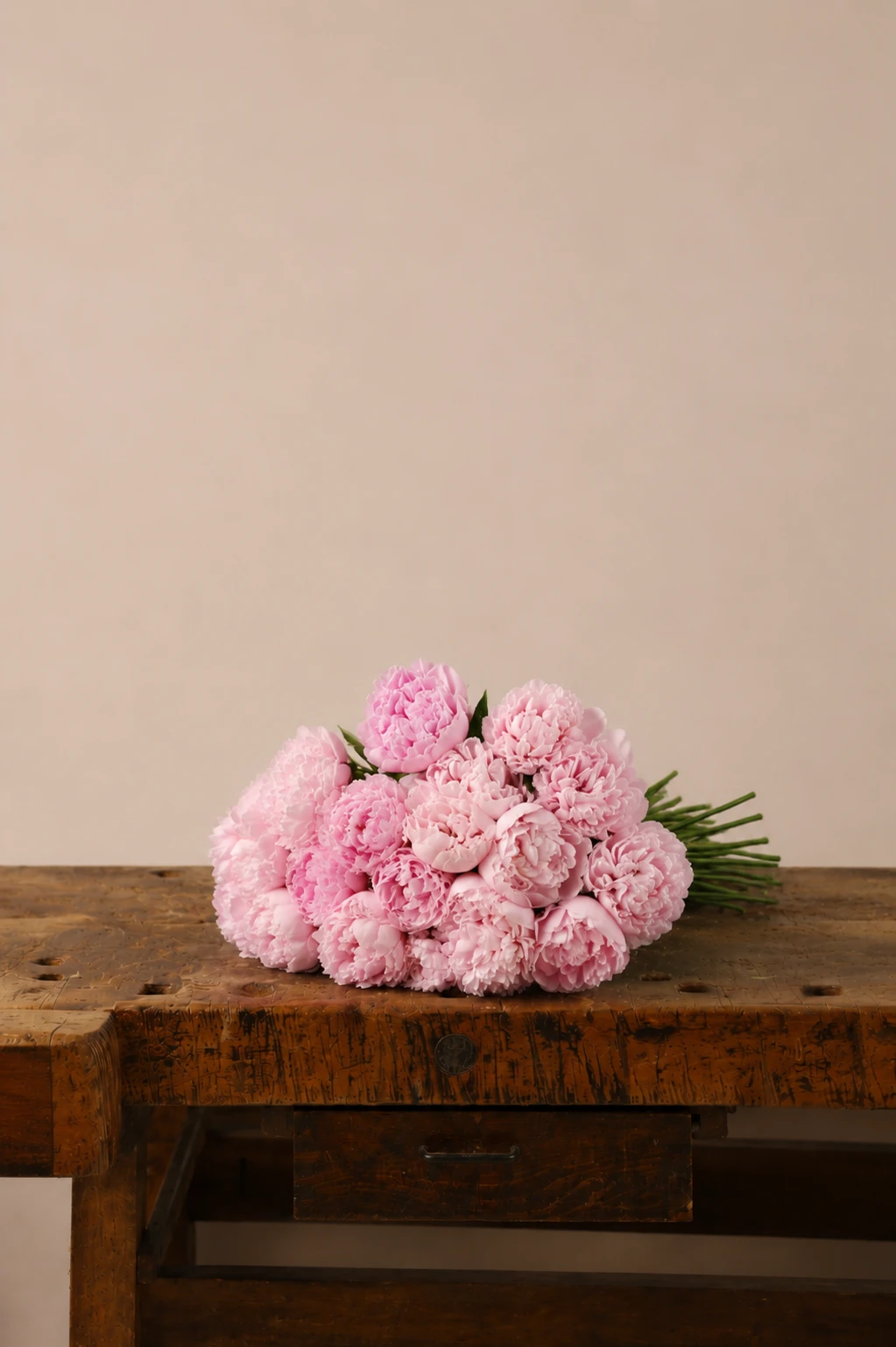 Le Peonie Lijoi — Rosa