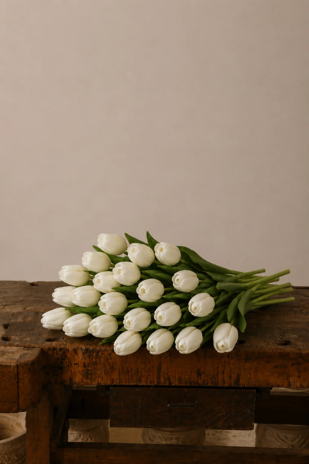 Tulipani — Bianco