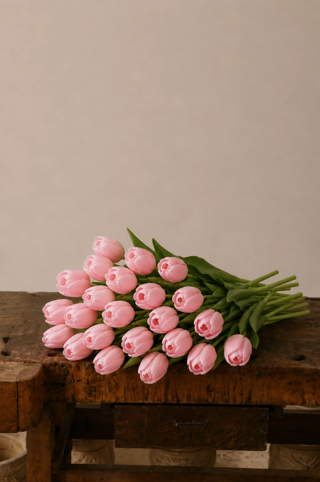 Tulipani — Rosa