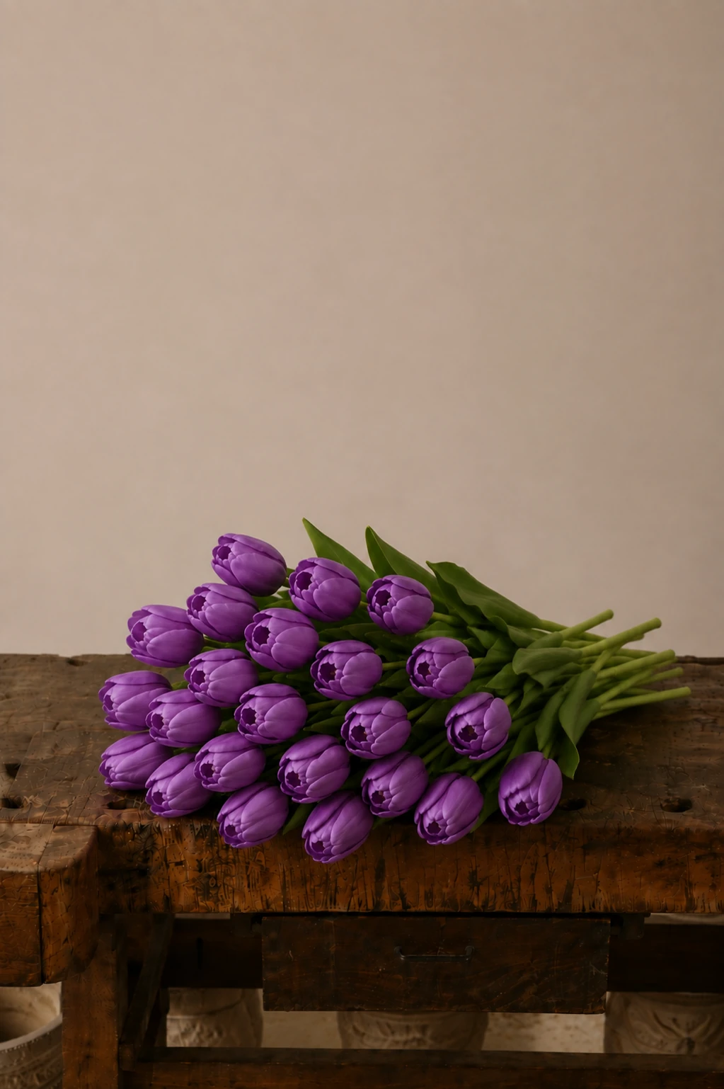 Tulipani — Viola